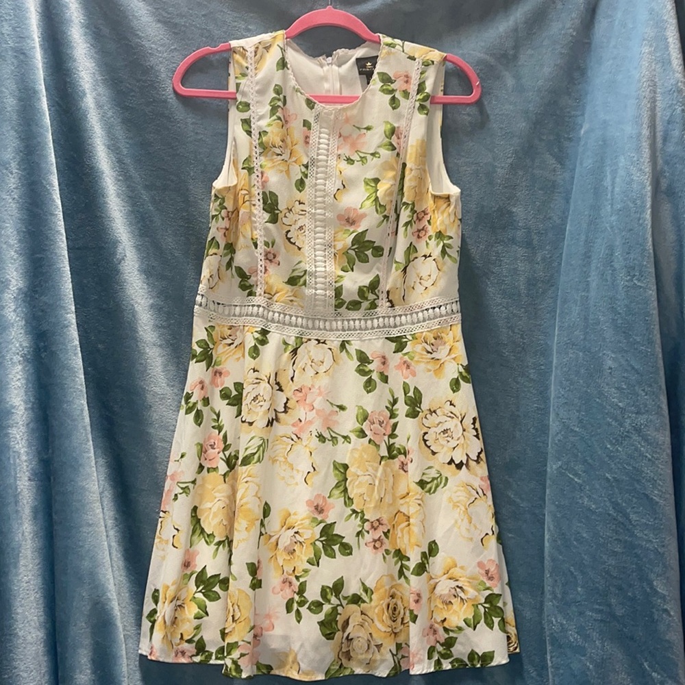 Disney Princess dress